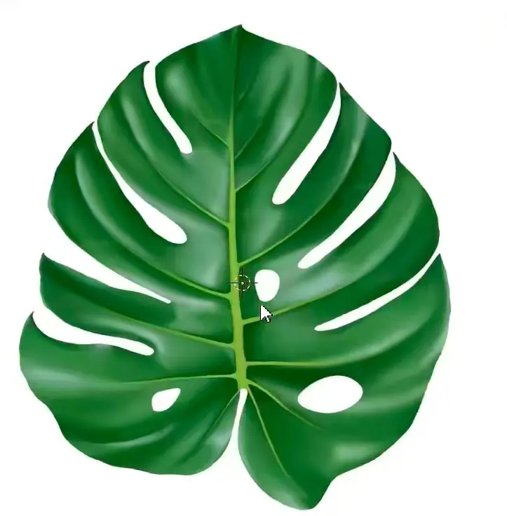 第一次建模